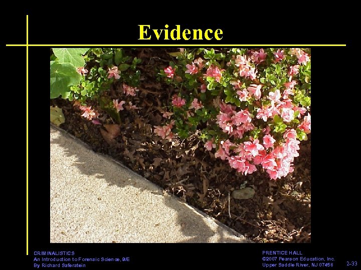 Evidence CRIMINALISTICS An Introduction to Forensic Science, 9/E By Richard Saferstein PRENTICE HALL ©