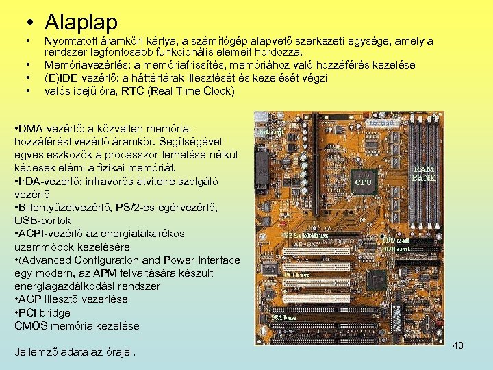  • Alaplap • • Nyomtatott áramköri kártya, a számítógép alapvető szerkezeti egysége, amely