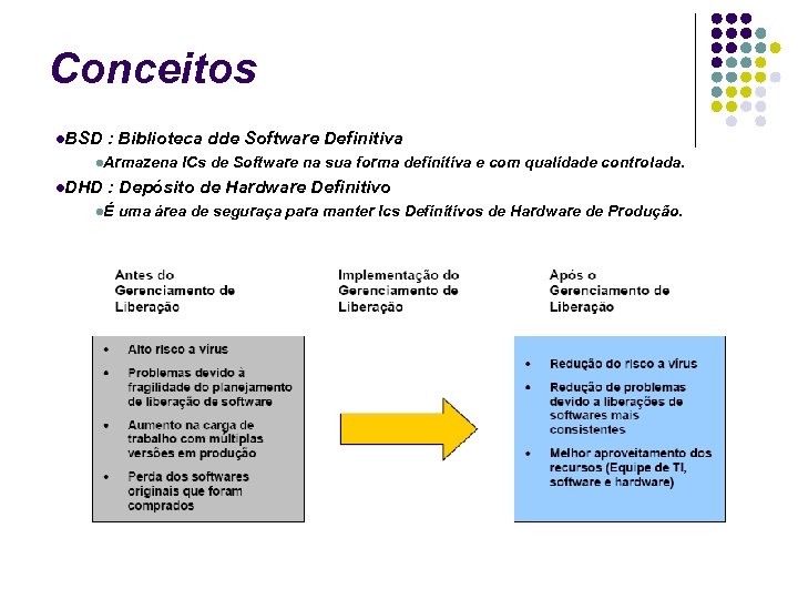 Conceitos BSD : Biblioteca dde Software Definitiva Armazena ICs de Software na sua forma
