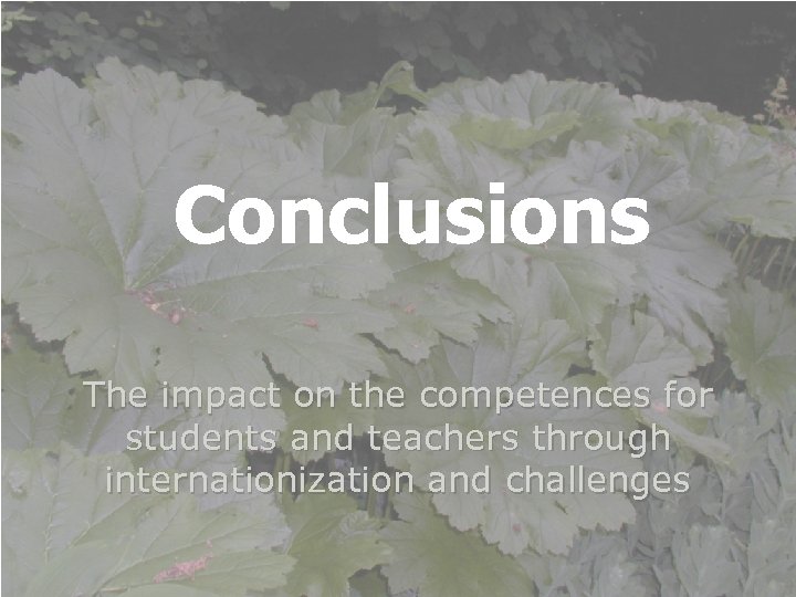 Conclusions The impact on the competences for students and teachers through internationization and challenges