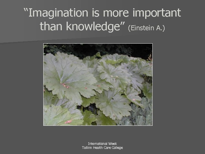 “Imagination is more important than knowledge” (Einstein A. ) International Week Tallinn Health Care