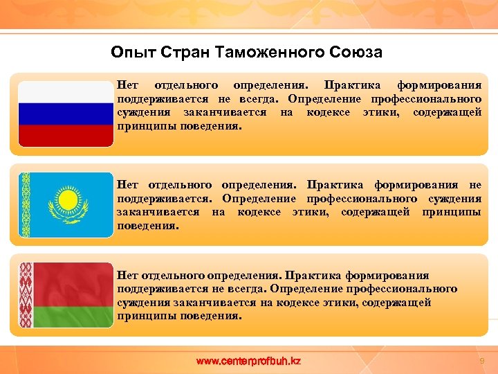 Опыт Стран Таможенного Союза Нет отдельного определения. Практика формирования поддерживается не всегда. Определение профессионального