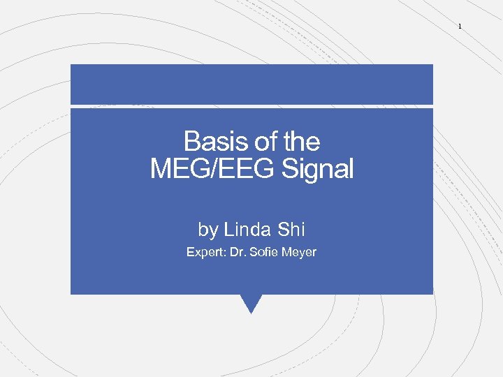 1 Basis of the MEG/EEG Signal by Linda Shi Expert: Dr. Sofie Meyer 