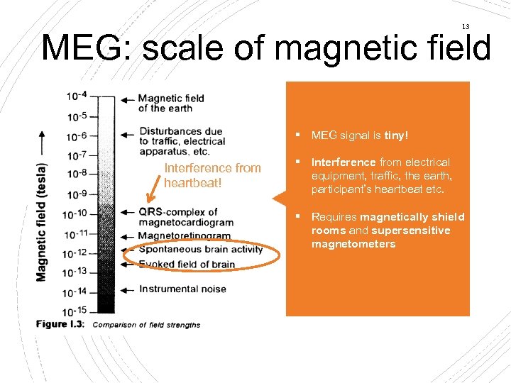 13 MEG: scale of magnetic field § MEG signal is tiny! Interference from heartbeat!