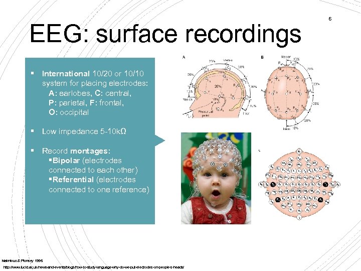 EEG: surface recordings § International 10/20 or 10/10 system for placing electrodes: A: earlobes,