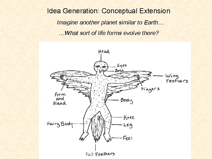 Idea Generation: Conceptual Extension Imagine another planet similar to Earth… …What sort of life