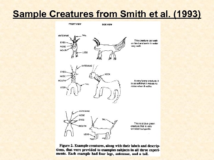 Sample Creatures from Smith et al. (1993) 