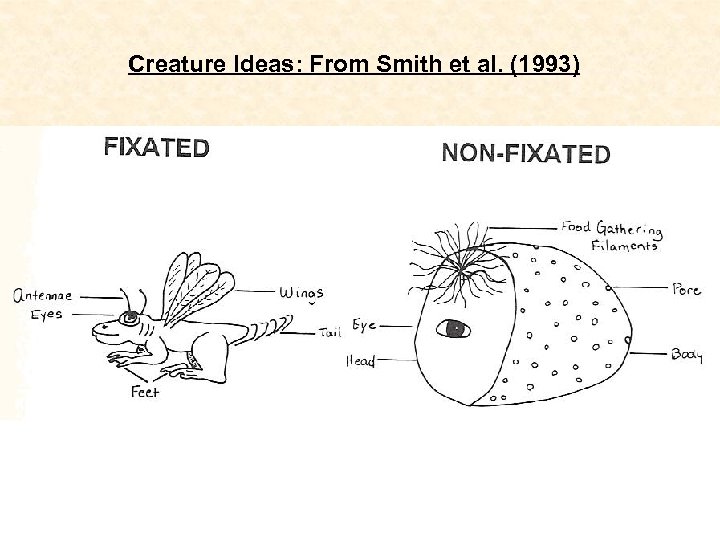 Creature Ideas: From Smith et al. (1993) 