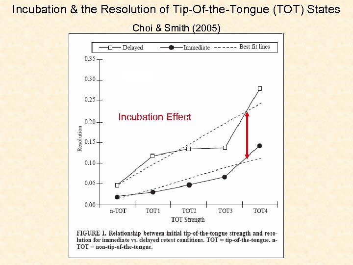 Incubation & the Resolution of Tip-Of-the-Tongue (TOT) States Choi & Smith (2005) Incubation Effect