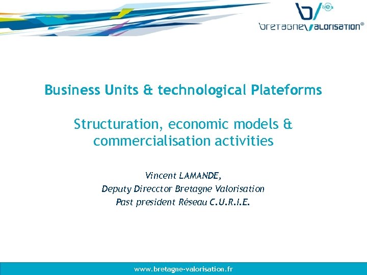 Business Units & technological Plateforms Structuration, economic models & commercialisation activities Vincent LAMANDE, Deputy