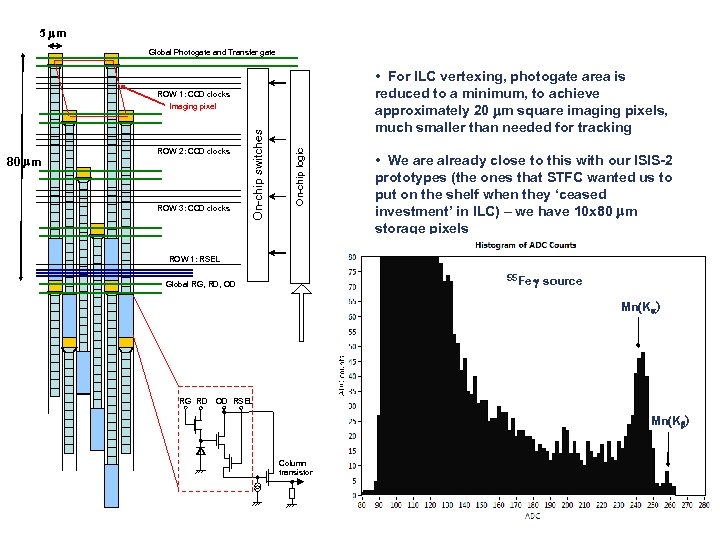 5 mm Global Photogate and Transfer gate • For ILC vertexing, photogate area is