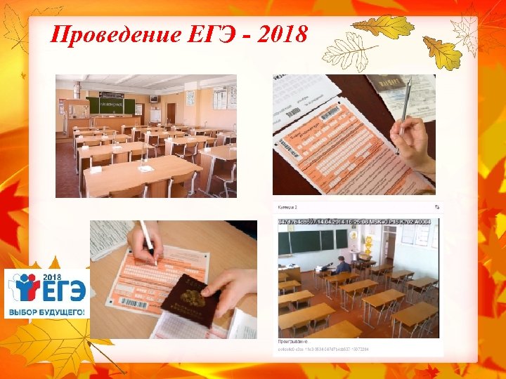 Проведение ЕГЭ - 2018 