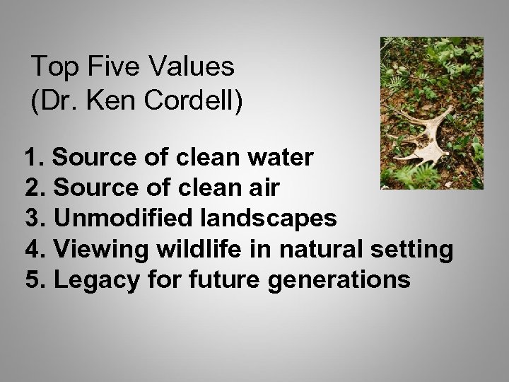 Top Five Values (Dr. Ken Cordell) 1. Source of clean water 2. Source of