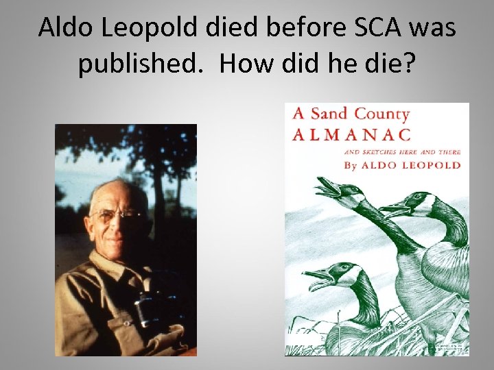 Aldo Leopold died before SCA was published. How did he die? 