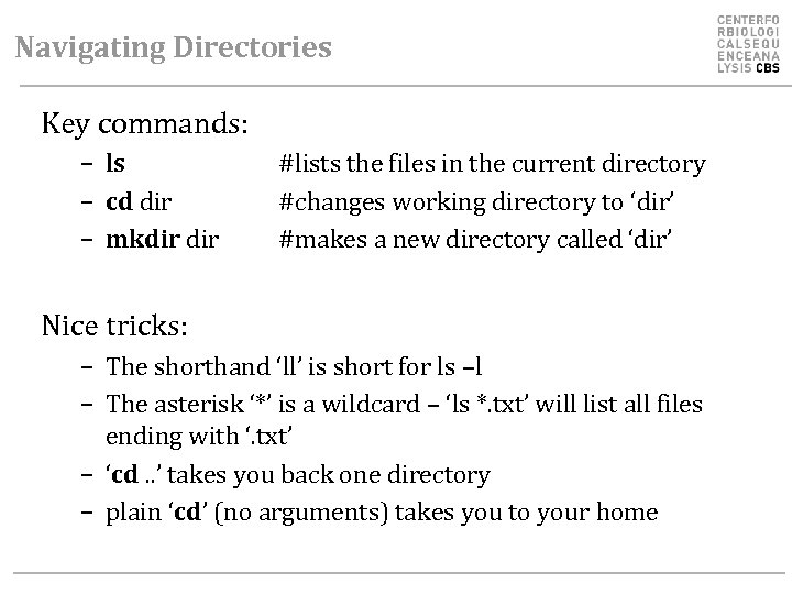 Navigating Directories Key commands: – ls – cd dir – mkdir #lists the files