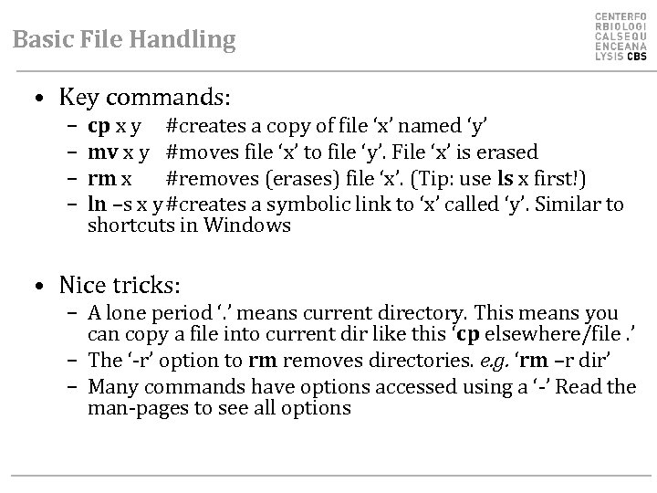 Basic File Handling • Key commands: – – cp x y #creates a copy