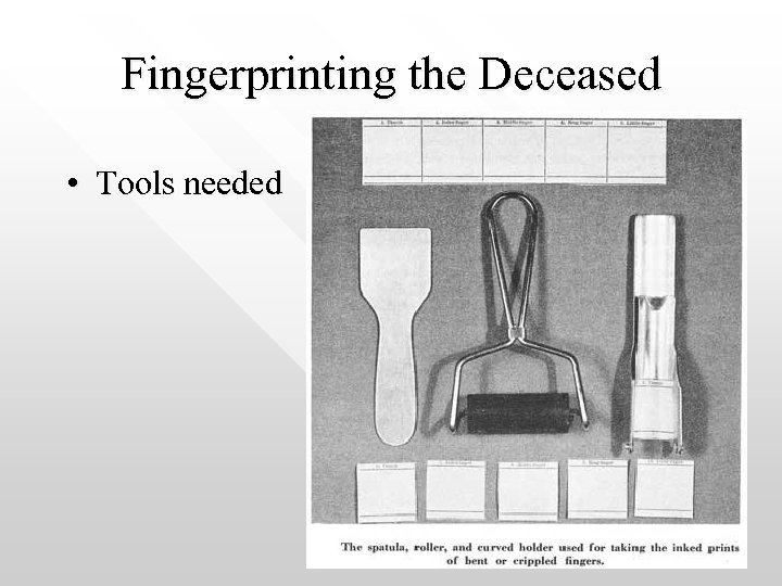 Fingerprinting the Deceased • Tools needed 