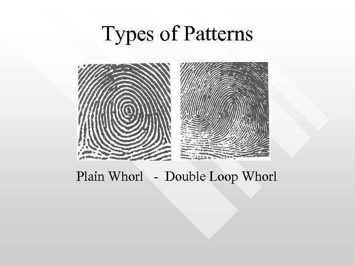 Types of Patterns Plain Whorl - Double Loop Whorl 