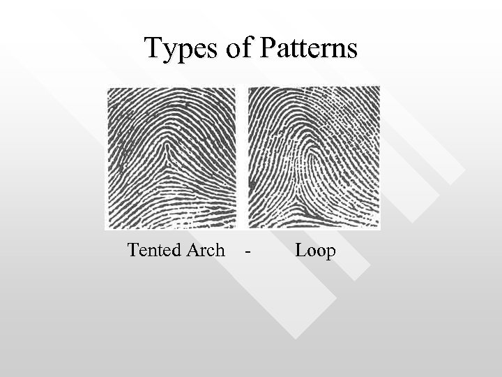 Types of Patterns Tented Arch - Loop 