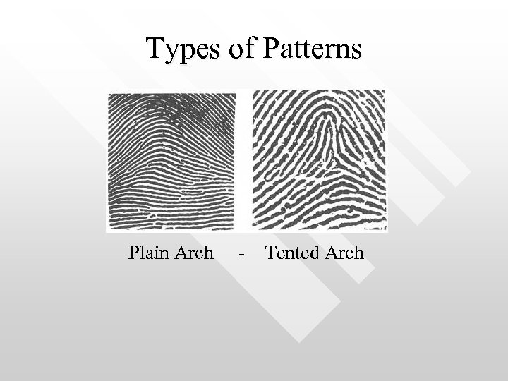 Types of Patterns Plain Arch - Tented Arch 