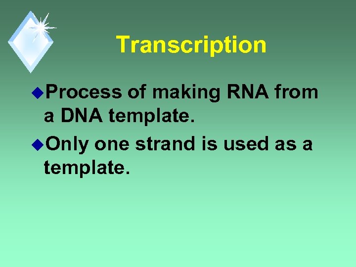 Transcription u. Process of making RNA from a DNA template. u. Only one strand