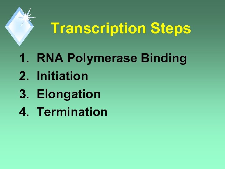 Transcription Steps 1. 2. 3. 4. RNA Polymerase Binding Initiation Elongation Termination 