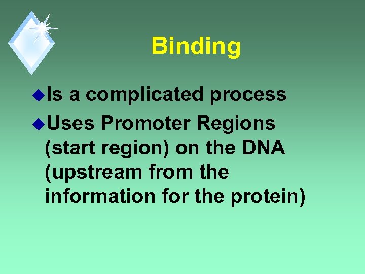 Binding u. Is a complicated process u. Uses Promoter Regions (start region) on the