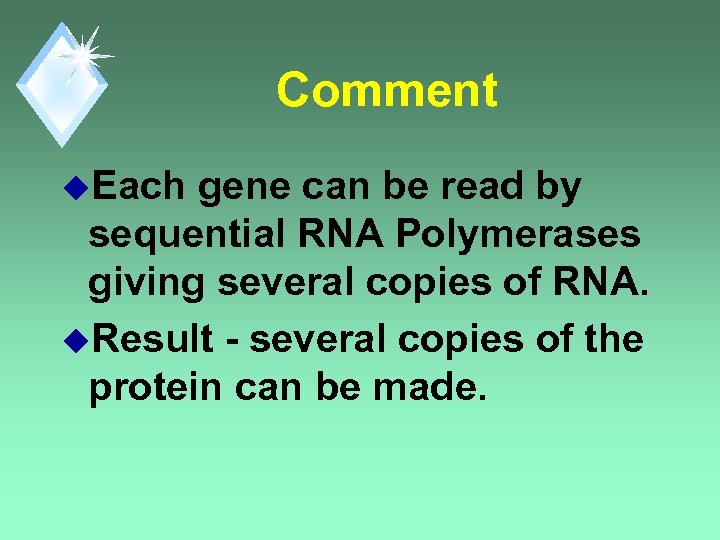 Comment u. Each gene can be read by sequential RNA Polymerases giving several copies