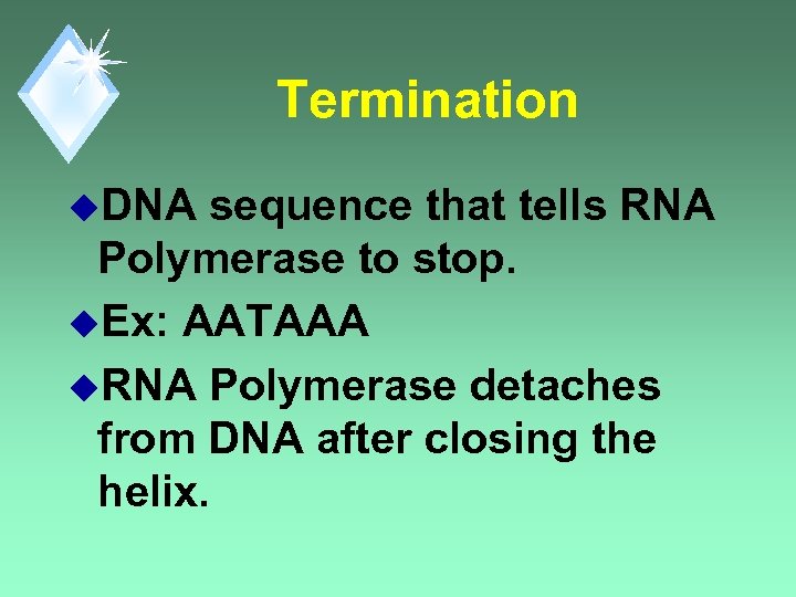 Termination u. DNA sequence that tells RNA Polymerase to stop. u. Ex: AATAAA u.