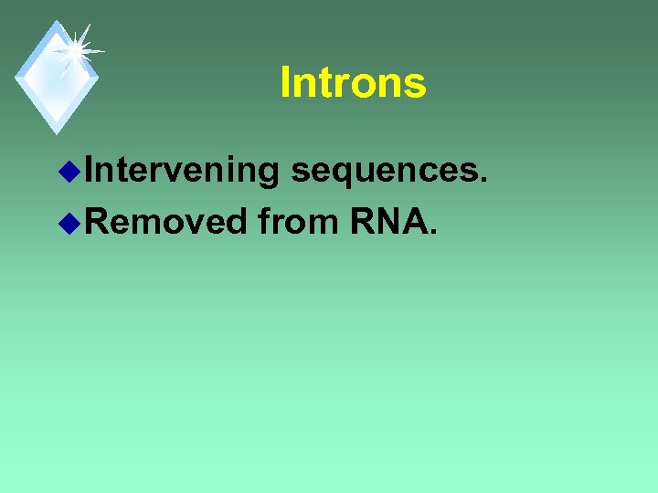 Introns u. Intervening sequences. u. Removed from RNA. 