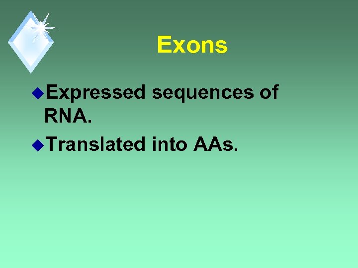 Exons u. Expressed sequences of RNA. u. Translated into AAs. 