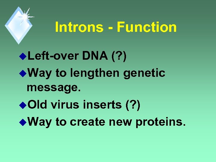 Introns - Function u. Left-over DNA (? ) u. Way to lengthen genetic message.