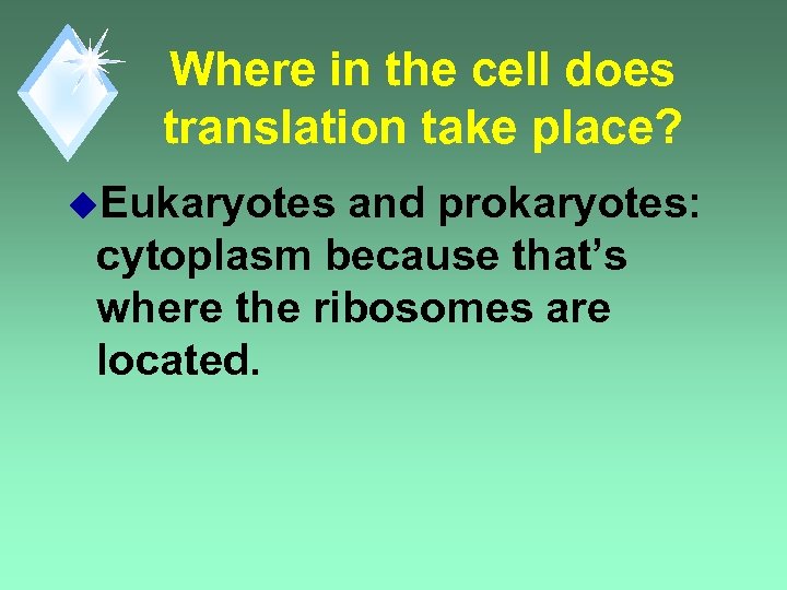 Where in the cell does translation take place? u. Eukaryotes and prokaryotes: cytoplasm because