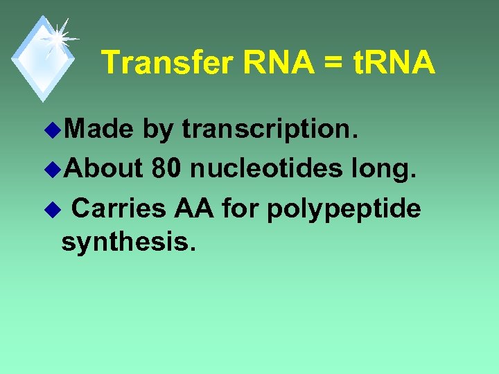 Transfer RNA = t. RNA u. Made by transcription. u. About 80 nucleotides long.