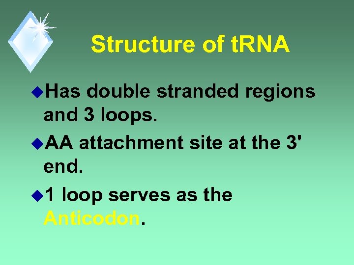 Structure of t. RNA u. Has double stranded regions and 3 loops. u. AA