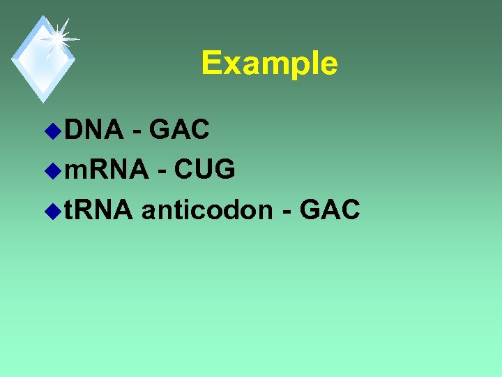 Example u. DNA - GAC um. RNA - CUG ut. RNA anticodon - GAC