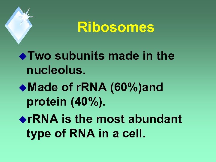 Ribosomes u. Two subunits made in the nucleolus. u. Made of r. RNA (60%)and