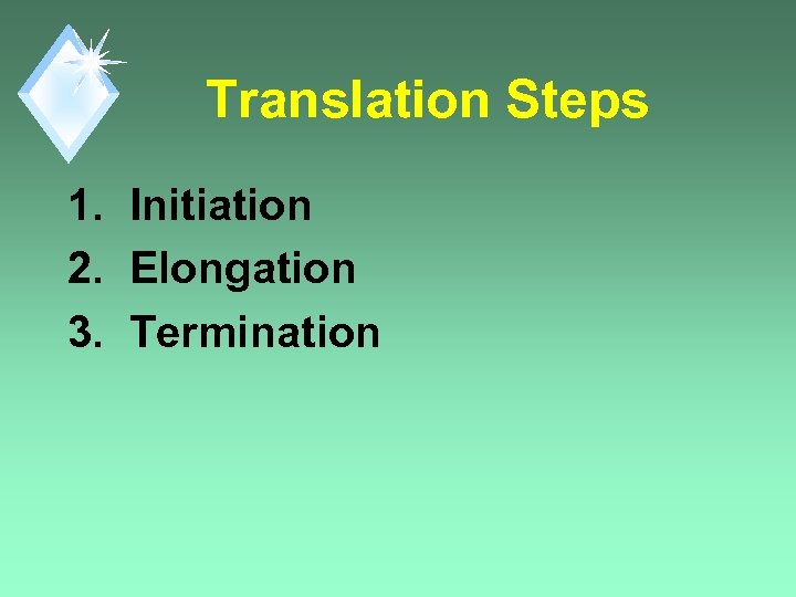 Translation Steps 1. Initiation 2. Elongation 3. Termination 