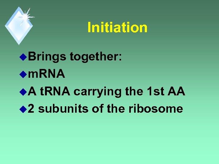 Initiation u. Brings together: um. RNA u. A t. RNA carrying the 1 st