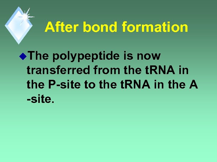After bond formation u. The polypeptide is now transferred from the t. RNA in