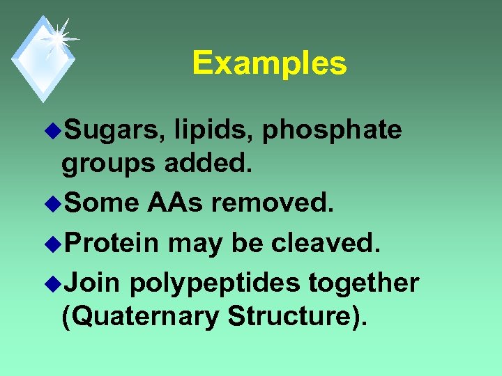 Examples u. Sugars, lipids, phosphate groups added. u. Some AAs removed. u. Protein may