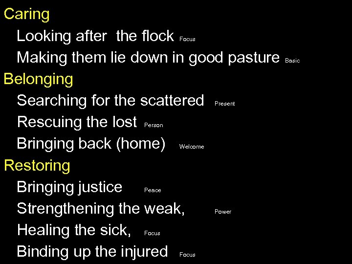 Caring Looking after the flock Making them lie down in good pasture Belonging Searching
