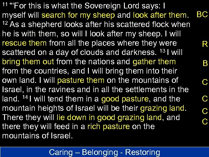 11 “‘For this is what the Sovereign Lord says: I myself will search for