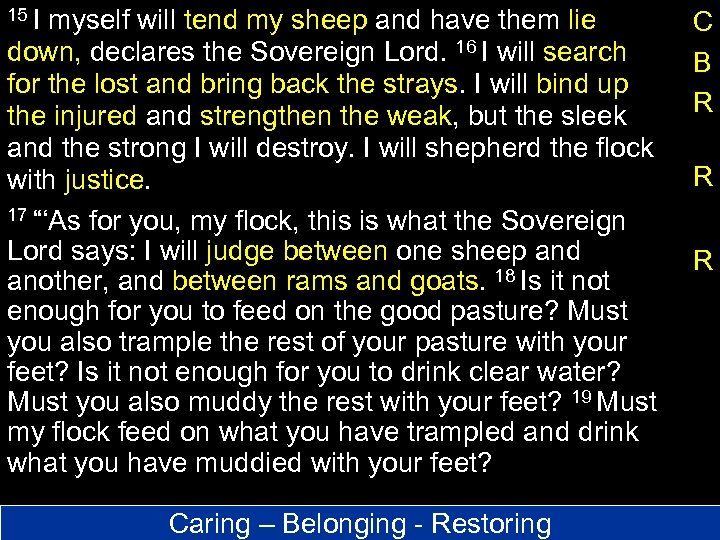 15 I myself will tend my sheep and have them lie C B R