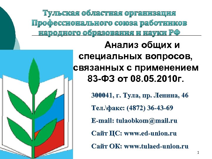 Тульская областная организация Профессионального союза работников народного образования и науки РФ Анализ общих и