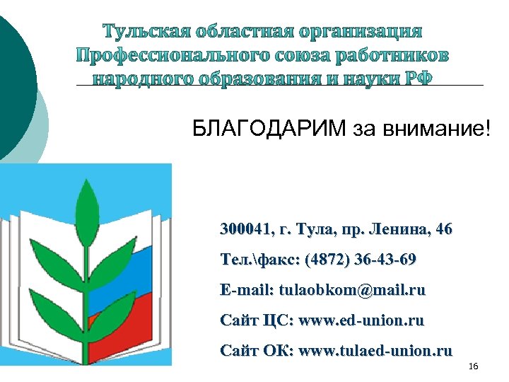 Тульская областная организация Профессионального союза работников народного образования и науки РФ БЛАГОДАРИМ за внимание!