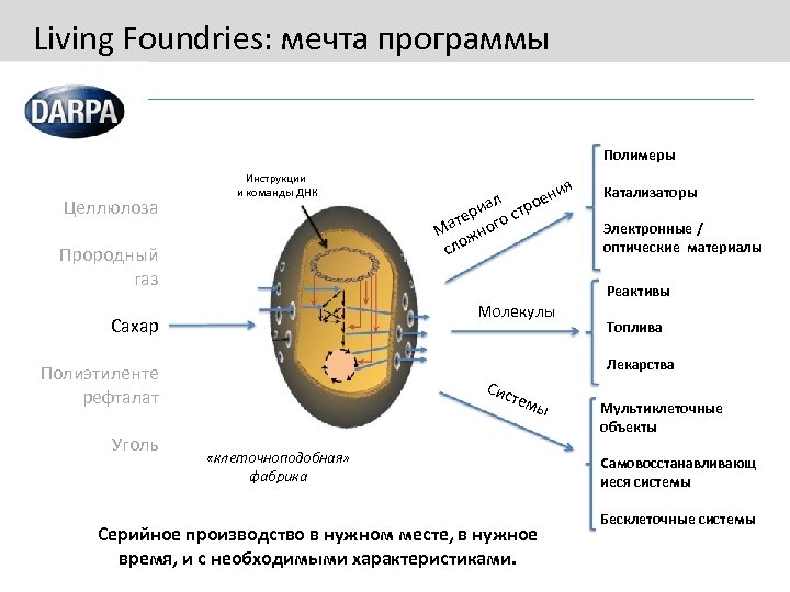 Living Foundries: мечта программы Полимеры Целлюлоза Инструкции и команды ДНК Прородный газ Молекулы Сахар