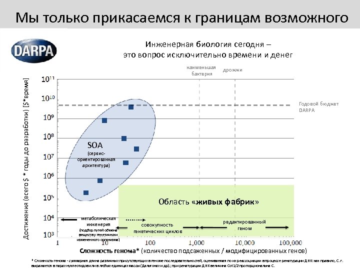 Мы только прикасаемся к границам возможного Инженерная биология сегодня – это вопрос исключительно времени