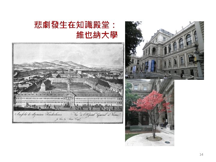 悲劇發生在知識殿堂： 維也納大學 14 