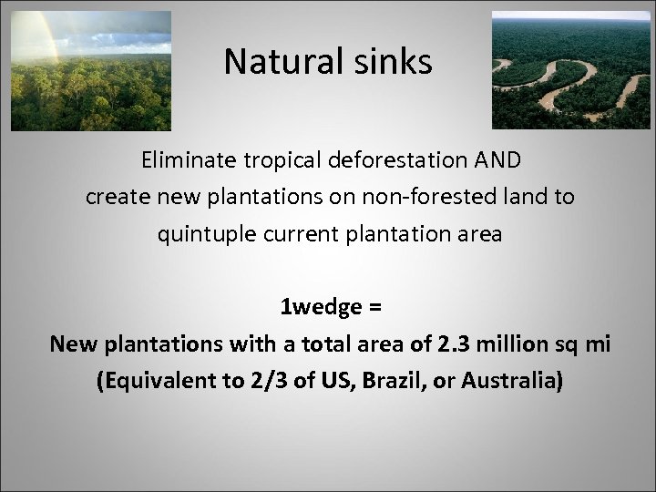 Natural sinks Eliminate tropical deforestation AND create new plantations on non-forested land to quintuple
